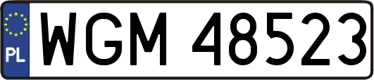 WGM48523