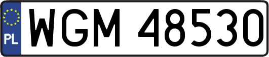 WGM48530
