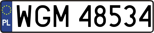 WGM48534