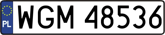 WGM48536