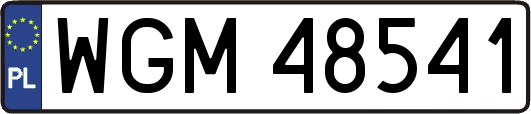 WGM48541