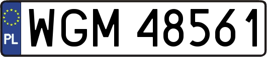 WGM48561