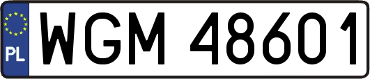 WGM48601