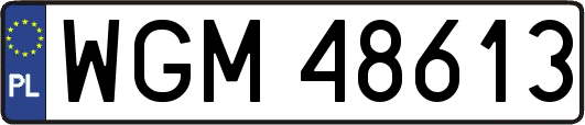 WGM48613