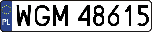 WGM48615