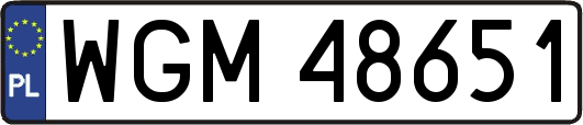 WGM48651