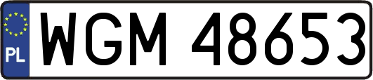 WGM48653