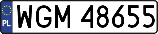 WGM48655