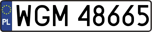 WGM48665