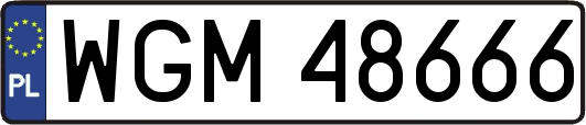 WGM48666