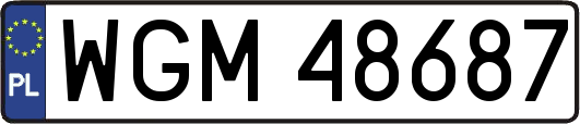 WGM48687