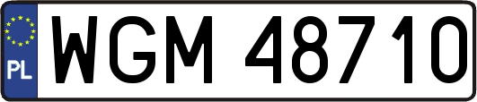 WGM48710