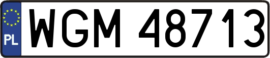 WGM48713