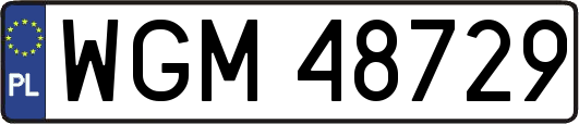 WGM48729