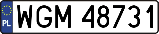WGM48731