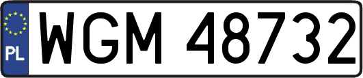 WGM48732