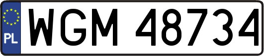 WGM48734