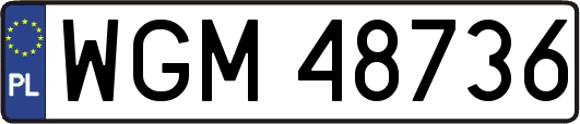 WGM48736