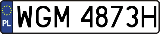 WGM4873H