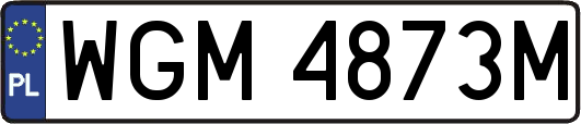 WGM4873M