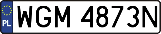 WGM4873N