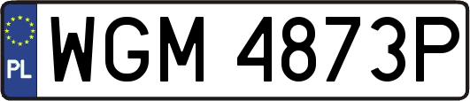 WGM4873P