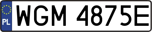 WGM4875E