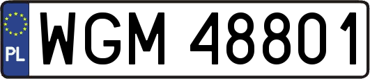 WGM48801