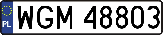 WGM48803