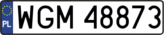 WGM48873