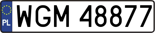 WGM48877