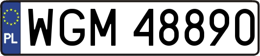 WGM48890