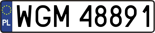 WGM48891