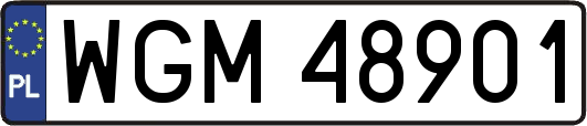 WGM48901