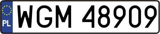 WGM48909