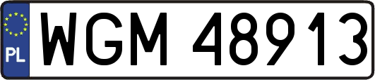 WGM48913