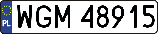 WGM48915