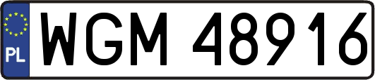 WGM48916
