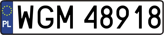 WGM48918