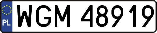 WGM48919