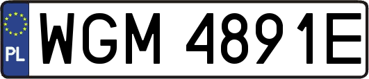 WGM4891E