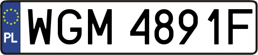 WGM4891F