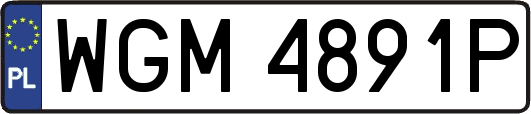 WGM4891P