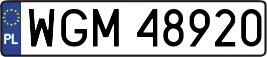 WGM48920