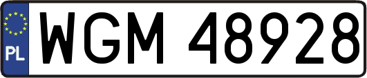 WGM48928