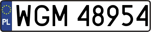 WGM48954