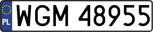 WGM48955