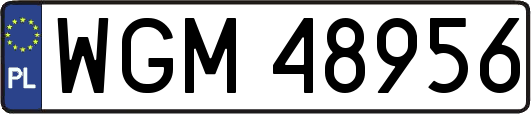 WGM48956