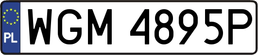WGM4895P