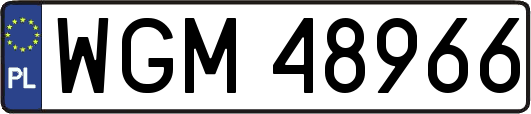 WGM48966